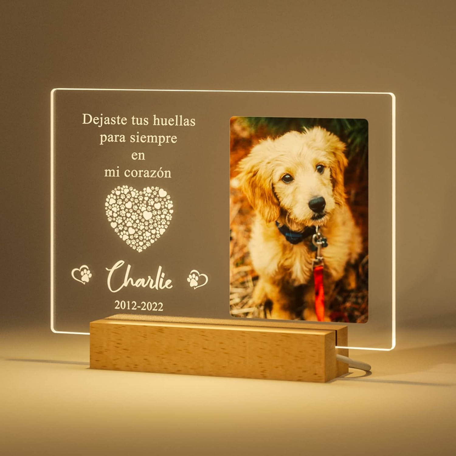 Regalos personalizados conmemorativos para perros Foto personalizada Luces