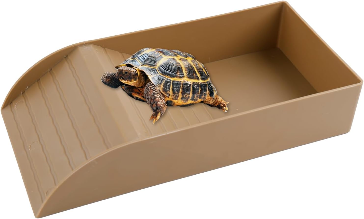 Cuenco de Agua para Tortugas, Bebedero para Tortugas de Tierra con Rampa